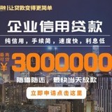 企业信用贷